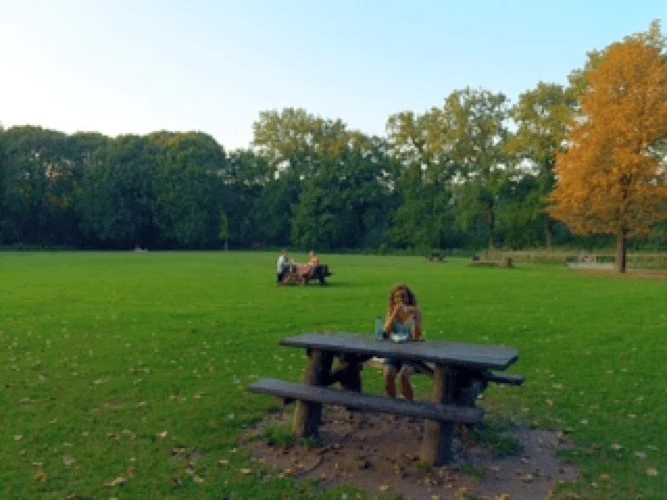 Parques en utrecht